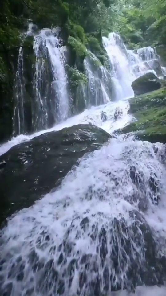 金庸群侠传5